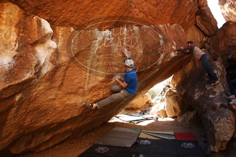 Bouldering in Hueco Tanks on 02/17/2019 with Blue Lizard Climbing and Yoga

Filename: SRM_20190217_1343480.jpg
Aperture: f/5.0
Shutter Speed: 1/400
Body: Canon EOS-1D Mark II
Lens: Canon EF 16-35mm f/2.8 L