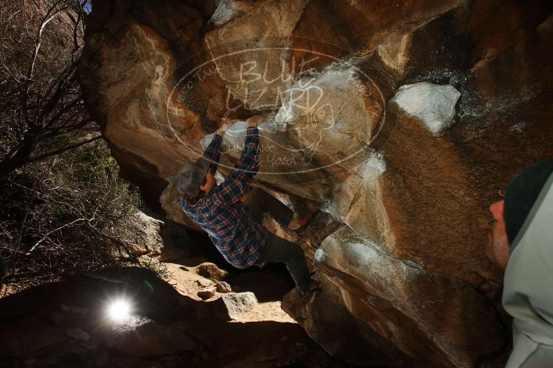 Bouldering in Hueco Tanks on 02/17/2019 with Blue Lizard Climbing and Yoga

Filename: SRM_20190217_1513590.jpg
Aperture: f/8.0
Shutter Speed: 1/250
Body: Canon EOS-1D Mark II
Lens: Canon EF 16-35mm f/2.8 L