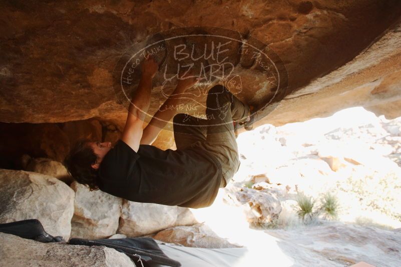 Bouldering in Hueco Tanks on 02/17/2019 with Blue Lizard Climbing and Yoga

Filename: SRM_20190217_1748260.jpg
Aperture: f/4.5
Shutter Speed: 1/200
Body: Canon EOS-1D Mark II
Lens: Canon EF 16-35mm f/2.8 L