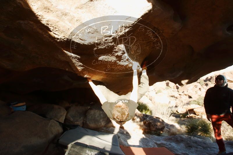 Bouldering in Hueco Tanks on 02/17/2019 with Blue Lizard Climbing and Yoga

Filename: SRM_20190217_1748590.jpg
Aperture: f/5.6
Shutter Speed: 1/250
Body: Canon EOS-1D Mark II
Lens: Canon EF 16-35mm f/2.8 L