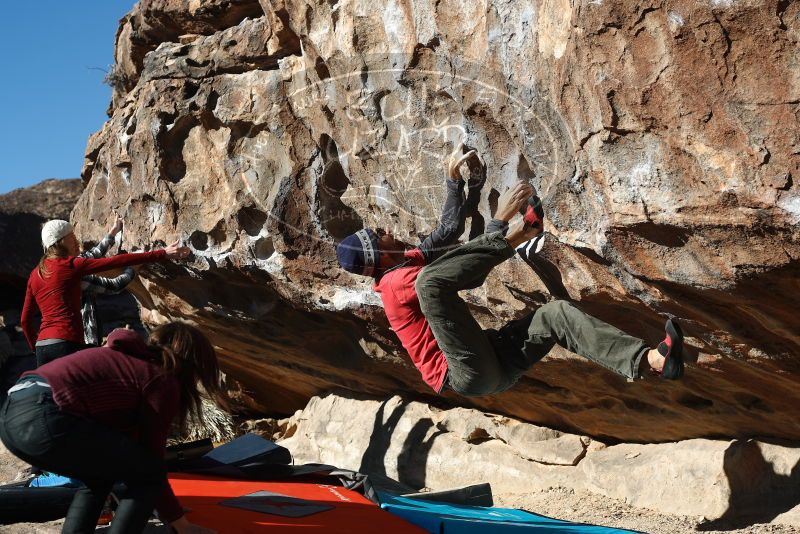 Bouldering in Hueco Tanks on 02/22/2019 with Blue Lizard Climbing and Yoga

Filename: SRM_20190222_1022020.jpg
Aperture: f/4.0
Shutter Speed: 1/640
Body: Canon EOS-1D Mark II
Lens: Canon EF 50mm f/1.8 II