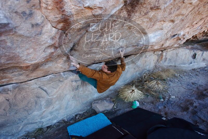 Bouldering in Hueco Tanks on 02/22/2019 with Blue Lizard Climbing and Yoga

Filename: SRM_20190222_1108230.jpg
Aperture: f/4.0
Shutter Speed: 1/320
Body: Canon EOS-1D Mark II
Lens: Canon EF 16-35mm f/2.8 L