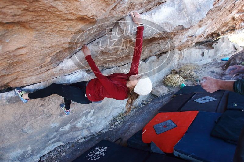 Bouldering in Hueco Tanks on 02/22/2019 with Blue Lizard Climbing and Yoga

Filename: SRM_20190222_1120280.jpg
Aperture: f/5.0
Shutter Speed: 1/250
Body: Canon EOS-1D Mark II
Lens: Canon EF 16-35mm f/2.8 L