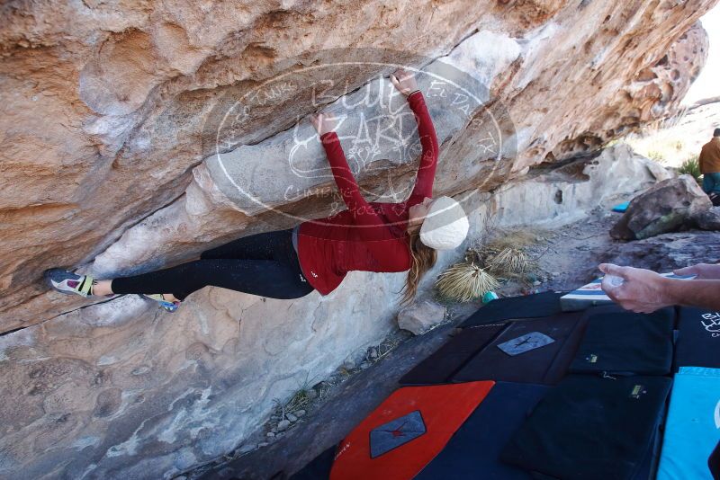 Bouldering in Hueco Tanks on 02/22/2019 with Blue Lizard Climbing and Yoga

Filename: SRM_20190222_1120340.jpg
Aperture: f/5.6
Shutter Speed: 1/250
Body: Canon EOS-1D Mark II
Lens: Canon EF 16-35mm f/2.8 L