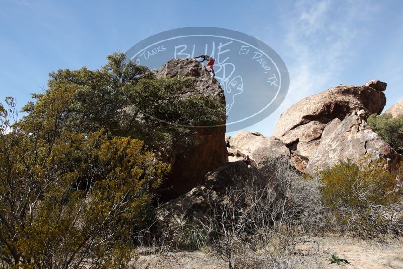 Bouldering in Hueco Tanks on 02/24/2019 with Blue Lizard Climbing and Yoga

Filename: SRM_20190224_1234300.jpg
Aperture: f/5.6
Shutter Speed: 1/640
Body: Canon EOS-1D Mark II
Lens: Canon EF 16-35mm f/2.8 L