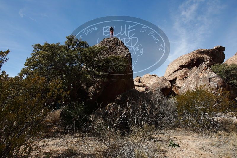 Bouldering in Hueco Tanks on 02/24/2019 with Blue Lizard Climbing and Yoga

Filename: SRM_20190224_1234370.jpg
Aperture: f/5.6
Shutter Speed: 1/1000
Body: Canon EOS-1D Mark II
Lens: Canon EF 16-35mm f/2.8 L