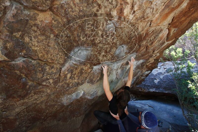 Bouldering in Hueco Tanks on 02/24/2019 with Blue Lizard Climbing and Yoga

Filename: SRM_20190224_1410440.jpg
Aperture: f/5.6
Shutter Speed: 1/200
Body: Canon EOS-1D Mark II
Lens: Canon EF 16-35mm f/2.8 L