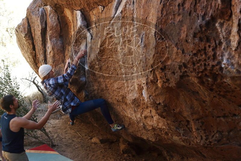 Bouldering in Hueco Tanks on 02/24/2019 with Blue Lizard Climbing and Yoga

Filename: SRM_20190224_1543460.jpg
Aperture: f/4.0
Shutter Speed: 1/320
Body: Canon EOS-1D Mark II
Lens: Canon EF 50mm f/1.8 II