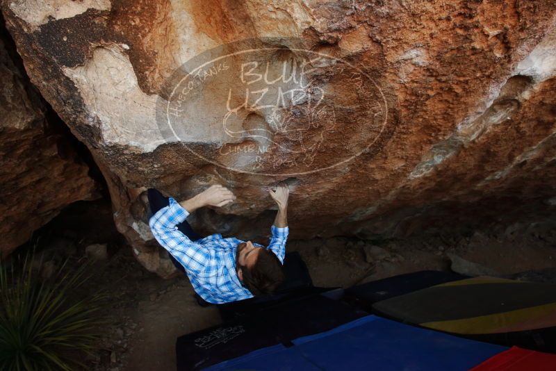 Bouldering in Hueco Tanks on 03/01/2019 with Blue Lizard Climbing and Yoga

Filename: SRM_20190301_1142250.jpg
Aperture: f/5.0
Shutter Speed: 1/250
Body: Canon EOS-1D Mark II
Lens: Canon EF 16-35mm f/2.8 L