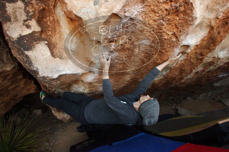 Bouldering in Hueco Tanks on 03/01/2019 with Blue Lizard Climbing and Yoga

Filename: SRM_20190301_1145040.jpg
Aperture: f/5.0
Shutter Speed: 1/200
Body: Canon EOS-1D Mark II
Lens: Canon EF 16-35mm f/2.8 L