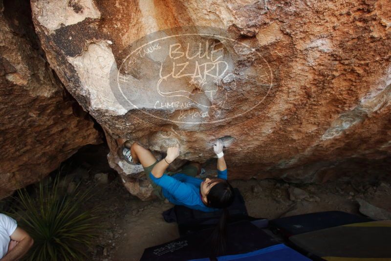 Bouldering in Hueco Tanks on 03/01/2019 with Blue Lizard Climbing and Yoga

Filename: SRM_20190301_1146390.jpg
Aperture: f/5.0
Shutter Speed: 1/200
Body: Canon EOS-1D Mark II
Lens: Canon EF 16-35mm f/2.8 L