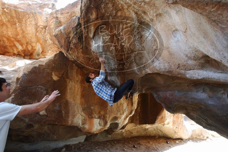 Bouldering in Hueco Tanks on 03/01/2019 with Blue Lizard Climbing and Yoga

Filename: SRM_20190301_1249560.jpg
Aperture: f/5.0
Shutter Speed: 1/160
Body: Canon EOS-1D Mark II
Lens: Canon EF 16-35mm f/2.8 L