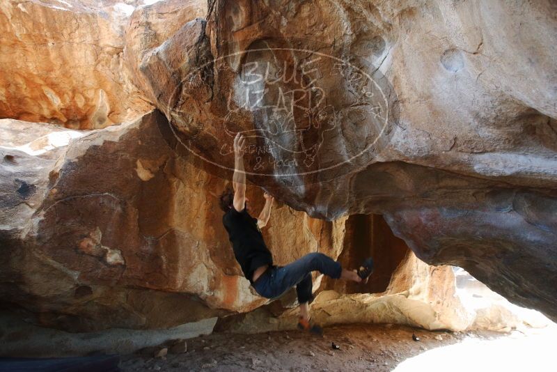 Bouldering in Hueco Tanks on 03/01/2019 with Blue Lizard Climbing and Yoga

Filename: SRM_20190301_1253010.jpg
Aperture: f/5.0
Shutter Speed: 1/160
Body: Canon EOS-1D Mark II
Lens: Canon EF 16-35mm f/2.8 L