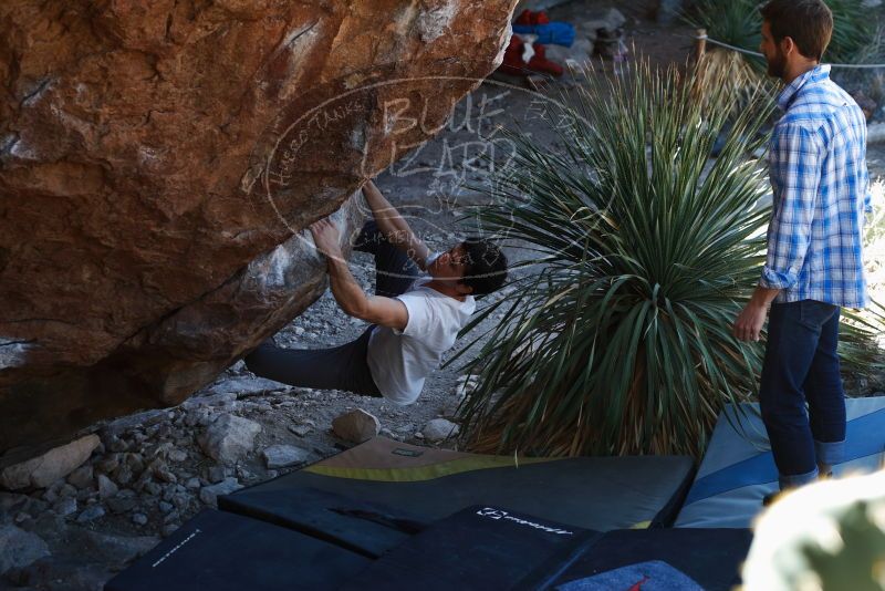 Bouldering in Hueco Tanks on 03/01/2019 with Blue Lizard Climbing and Yoga

Filename: SRM_20190301_1341580.jpg
Aperture: f/3.5
Shutter Speed: 1/160
Body: Canon EOS-1D Mark II
Lens: Canon EF 50mm f/1.8 II