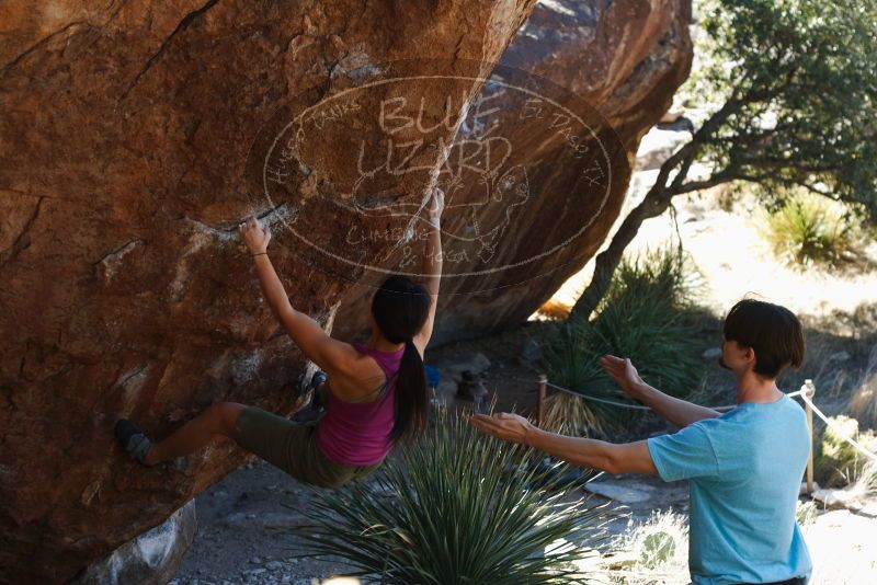 Bouldering in Hueco Tanks on 03/01/2019 with Blue Lizard Climbing and Yoga

Filename: SRM_20190301_1346480.jpg
Aperture: f/3.5
Shutter Speed: 1/250
Body: Canon EOS-1D Mark II
Lens: Canon EF 50mm f/1.8 II