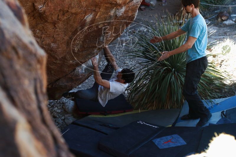 Bouldering in Hueco Tanks on 03/01/2019 with Blue Lizard Climbing and Yoga

Filename: SRM_20190301_1349320.jpg
Aperture: f/3.5
Shutter Speed: 1/160
Body: Canon EOS-1D Mark II
Lens: Canon EF 50mm f/1.8 II