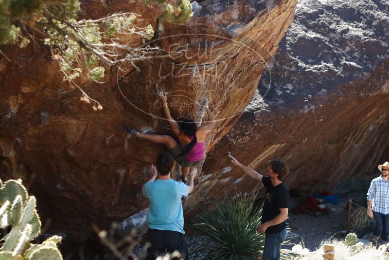 Bouldering in Hueco Tanks on 03/01/2019 with Blue Lizard Climbing and Yoga

Filename: SRM_20190301_1401010.jpg
Aperture: f/3.2
Shutter Speed: 1/400
Body: Canon EOS-1D Mark II
Lens: Canon EF 50mm f/1.8 II