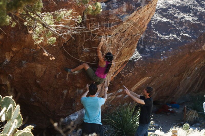 Bouldering in Hueco Tanks on 03/01/2019 with Blue Lizard Climbing and Yoga

Filename: SRM_20190301_1401040.jpg
Aperture: f/3.2
Shutter Speed: 1/400
Body: Canon EOS-1D Mark II
Lens: Canon EF 50mm f/1.8 II