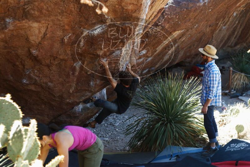 Bouldering in Hueco Tanks on 03/01/2019 with Blue Lizard Climbing and Yoga

Filename: SRM_20190301_1401550.jpg
Aperture: f/3.5
Shutter Speed: 1/200
Body: Canon EOS-1D Mark II
Lens: Canon EF 50mm f/1.8 II