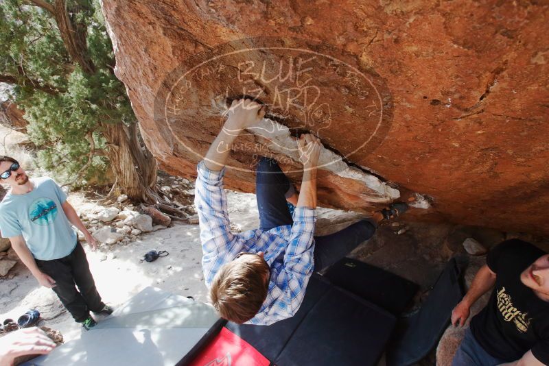 Bouldering in Hueco Tanks on 03/01/2019 with Blue Lizard Climbing and Yoga

Filename: SRM_20190301_1542150.jpg
Aperture: f/5.6
Shutter Speed: 1/320
Body: Canon EOS-1D Mark II
Lens: Canon EF 16-35mm f/2.8 L