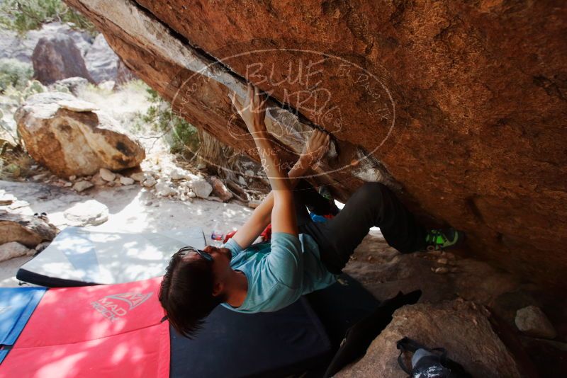 Bouldering in Hueco Tanks on 03/01/2019 with Blue Lizard Climbing and Yoga

Filename: SRM_20190301_1602270.jpg
Aperture: f/5.6
Shutter Speed: 1/640
Body: Canon EOS-1D Mark II
Lens: Canon EF 16-35mm f/2.8 L