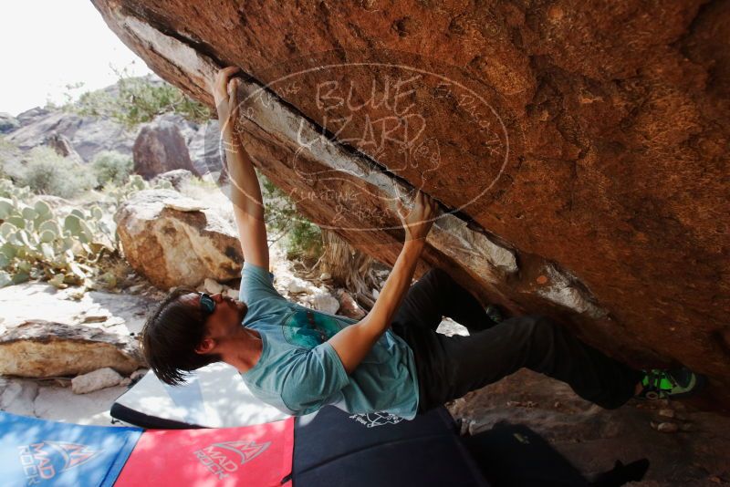 Bouldering in Hueco Tanks on 03/01/2019 with Blue Lizard Climbing and Yoga

Filename: SRM_20190301_1602280.jpg
Aperture: f/5.6
Shutter Speed: 1/800
Body: Canon EOS-1D Mark II
Lens: Canon EF 16-35mm f/2.8 L