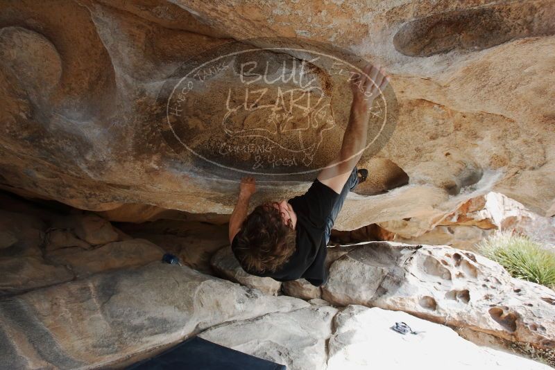 Bouldering in Hueco Tanks on 03/02/2019 with Blue Lizard Climbing and Yoga

Filename: SRM_20190302_1054180.jpg
Aperture: f/5.6
Shutter Speed: 1/250
Body: Canon EOS-1D Mark II
Lens: Canon EF 16-35mm f/2.8 L