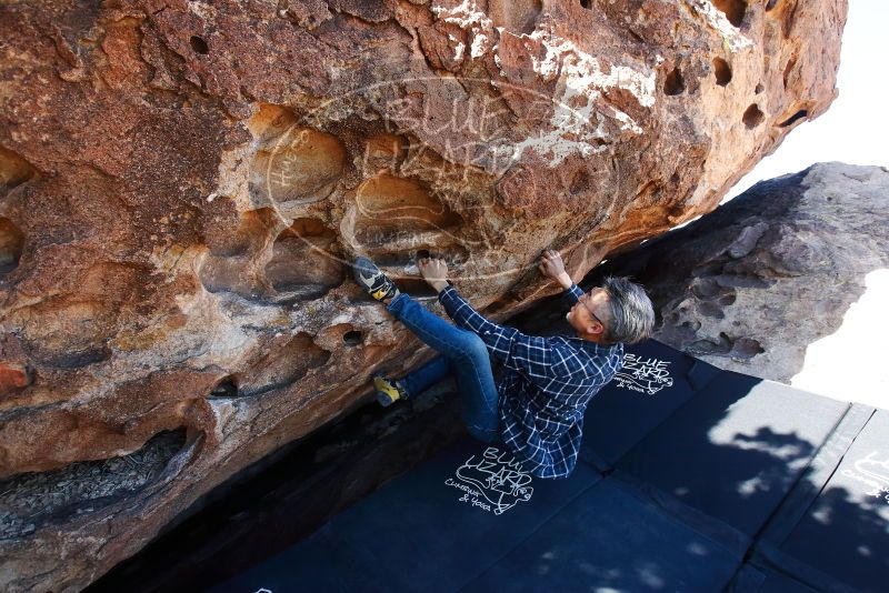 Bouldering in Hueco Tanks on 03/03/2019 with Blue Lizard Climbing and Yoga

Filename: SRM_20190303_1134190.jpg
Aperture: f/5.6
Shutter Speed: 1/250
Body: Canon EOS-1D Mark II
Lens: Canon EF 16-35mm f/2.8 L