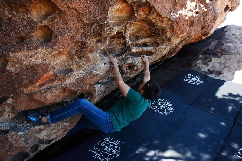 Bouldering in Hueco Tanks on 03/03/2019 with Blue Lizard Climbing and Yoga

Filename: SRM_20190303_1136150.jpg
Aperture: f/5.6
Shutter Speed: 1/250
Body: Canon EOS-1D Mark II
Lens: Canon EF 16-35mm f/2.8 L