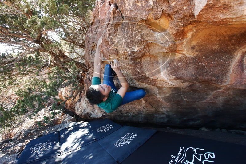 Bouldering in Hueco Tanks on 03/03/2019 with Blue Lizard Climbing and Yoga

Filename: SRM_20190303_1141180.jpg
Aperture: f/5.6
Shutter Speed: 1/250
Body: Canon EOS-1D Mark II
Lens: Canon EF 16-35mm f/2.8 L