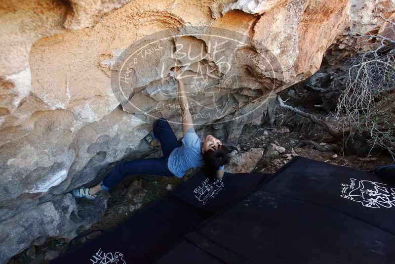 Bouldering in Hueco Tanks on 03/03/2019 with Blue Lizard Climbing and Yoga

Filename: SRM_20190303_1200360.jpg
Aperture: f/4.5
Shutter Speed: 1/200
Body: Canon EOS-1D Mark II
Lens: Canon EF 16-35mm f/2.8 L