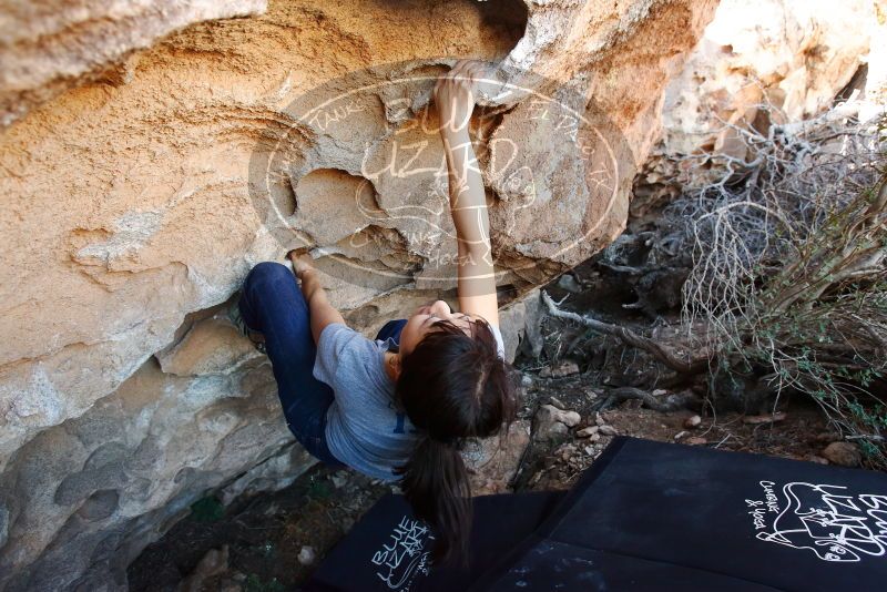 Bouldering in Hueco Tanks on 03/03/2019 with Blue Lizard Climbing and Yoga

Filename: SRM_20190303_1200420.jpg
Aperture: f/4.0
Shutter Speed: 1/200
Body: Canon EOS-1D Mark II
Lens: Canon EF 16-35mm f/2.8 L