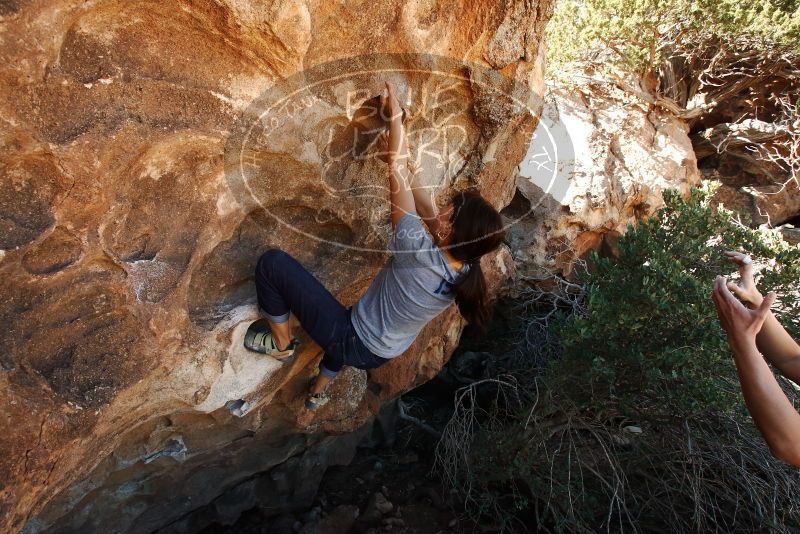 Bouldering in Hueco Tanks on 03/03/2019 with Blue Lizard Climbing and Yoga

Filename: SRM_20190303_1201010.jpg
Aperture: f/8.0
Shutter Speed: 1/250
Body: Canon EOS-1D Mark II
Lens: Canon EF 16-35mm f/2.8 L