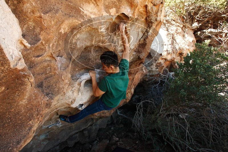 Bouldering in Hueco Tanks on 03/03/2019 with Blue Lizard Climbing and Yoga

Filename: SRM_20190303_1204001.jpg
Aperture: f/7.1
Shutter Speed: 1/250
Body: Canon EOS-1D Mark II
Lens: Canon EF 16-35mm f/2.8 L