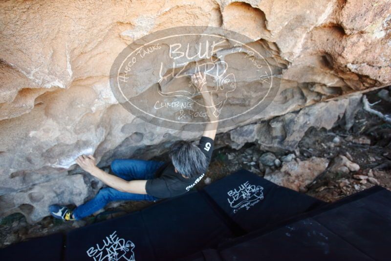 Bouldering in Hueco Tanks on 03/03/2019 with Blue Lizard Climbing and Yoga

Filename: SRM_20190303_1208260.jpg
Aperture: f/3.5
Shutter Speed: 1/250
Body: Canon EOS-1D Mark II
Lens: Canon EF 16-35mm f/2.8 L