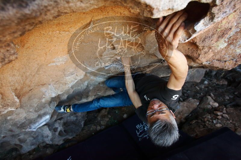 Bouldering in Hueco Tanks on 03/03/2019 with Blue Lizard Climbing and Yoga

Filename: SRM_20190303_1208350.jpg
Aperture: f/4.5
Shutter Speed: 1/250
Body: Canon EOS-1D Mark II
Lens: Canon EF 16-35mm f/2.8 L