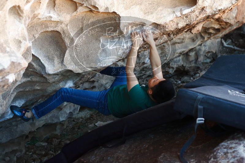 Bouldering in Hueco Tanks on 03/03/2019 with Blue Lizard Climbing and Yoga

Filename: SRM_20190303_1219200.jpg
Aperture: f/4.0
Shutter Speed: 1/250
Body: Canon EOS-1D Mark II
Lens: Canon EF 50mm f/1.8 II