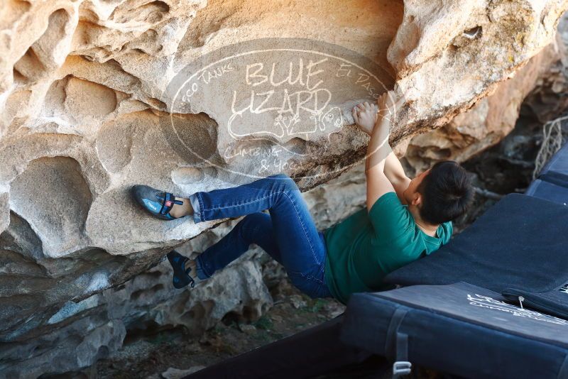 Bouldering in Hueco Tanks on 03/03/2019 with Blue Lizard Climbing and Yoga

Filename: SRM_20190303_1219250.jpg
Aperture: f/4.0
Shutter Speed: 1/250
Body: Canon EOS-1D Mark II
Lens: Canon EF 50mm f/1.8 II