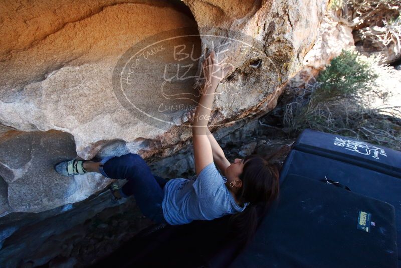 Bouldering in Hueco Tanks on 03/03/2019 with Blue Lizard Climbing and Yoga

Filename: SRM_20190303_1229170.jpg
Aperture: f/5.0
Shutter Speed: 1/500
Body: Canon EOS-1D Mark II
Lens: Canon EF 16-35mm f/2.8 L