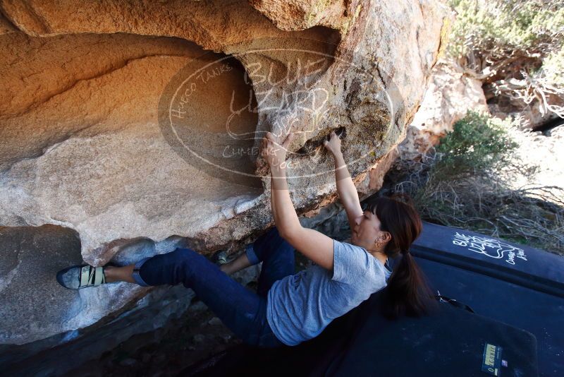 Bouldering in Hueco Tanks on 03/03/2019 with Blue Lizard Climbing and Yoga

Filename: SRM_20190303_1229210.jpg
Aperture: f/5.0
Shutter Speed: 1/500
Body: Canon EOS-1D Mark II
Lens: Canon EF 16-35mm f/2.8 L