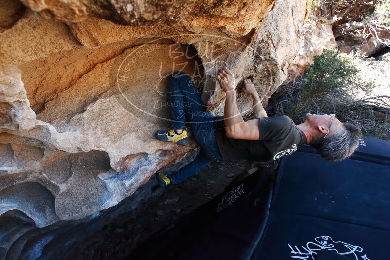 Bouldering in Hueco Tanks on 03/03/2019 with Blue Lizard Climbing and Yoga

Filename: SRM_20190303_1233560.jpg
Aperture: f/5.0
Shutter Speed: 1/640
Body: Canon EOS-1D Mark II
Lens: Canon EF 16-35mm f/2.8 L