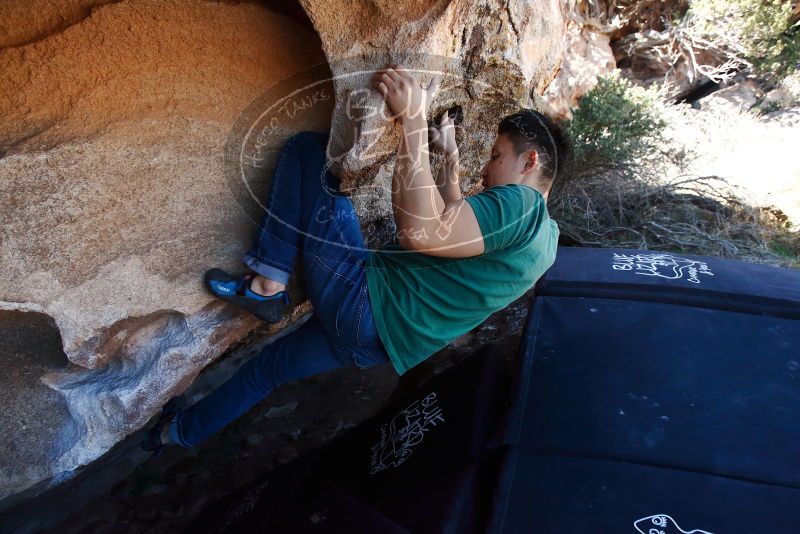 Bouldering in Hueco Tanks on 03/03/2019 with Blue Lizard Climbing and Yoga

Filename: SRM_20190303_1236300.jpg
Aperture: f/5.0
Shutter Speed: 1/640
Body: Canon EOS-1D Mark II
Lens: Canon EF 16-35mm f/2.8 L