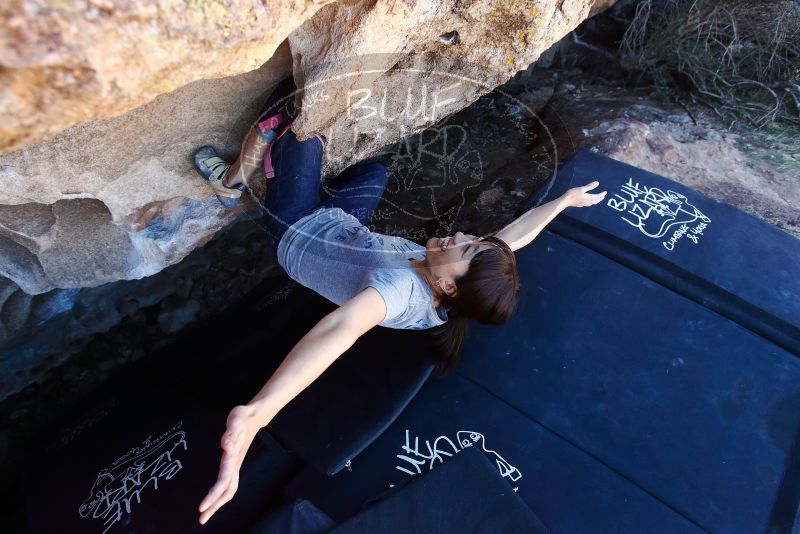 Bouldering in Hueco Tanks on 03/03/2019 with Blue Lizard Climbing and Yoga

Filename: SRM_20190303_1240441.jpg
Aperture: f/5.0
Shutter Speed: 1/500
Body: Canon EOS-1D Mark II
Lens: Canon EF 16-35mm f/2.8 L