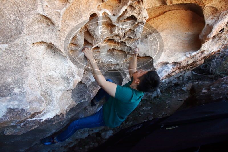 Bouldering in Hueco Tanks on 03/03/2019 with Blue Lizard Climbing and Yoga

Filename: SRM_20190303_1249020.jpg
Aperture: f/5.6
Shutter Speed: 1/320
Body: Canon EOS-1D Mark II
Lens: Canon EF 16-35mm f/2.8 L