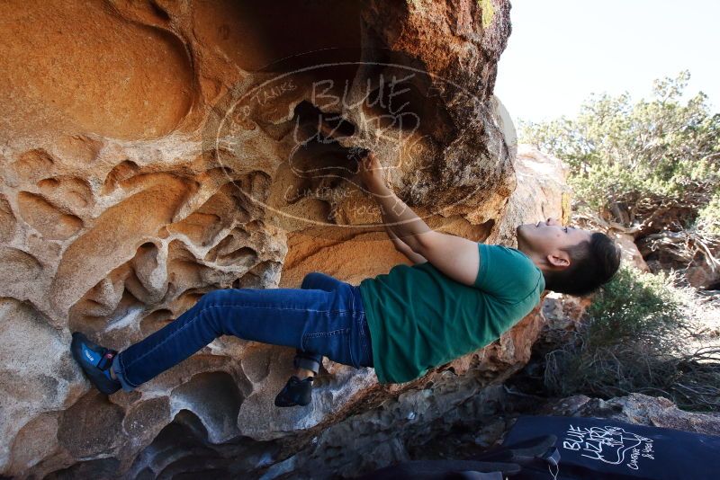 Bouldering in Hueco Tanks on 03/03/2019 with Blue Lizard Climbing and Yoga

Filename: SRM_20190303_1249160.jpg
Aperture: f/5.6
Shutter Speed: 1/640
Body: Canon EOS-1D Mark II
Lens: Canon EF 16-35mm f/2.8 L