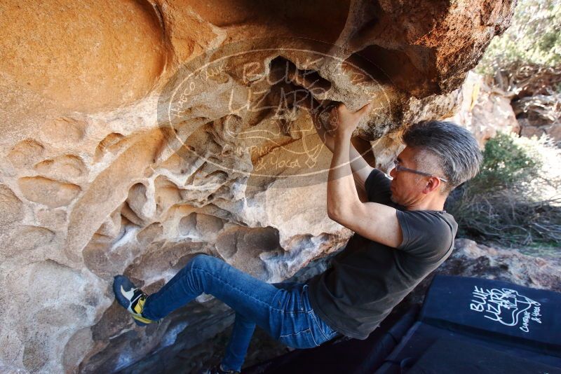 Bouldering in Hueco Tanks on 03/03/2019 with Blue Lizard Climbing and Yoga

Filename: SRM_20190303_1253010.jpg
Aperture: f/5.6
Shutter Speed: 1/320
Body: Canon EOS-1D Mark II
Lens: Canon EF 16-35mm f/2.8 L