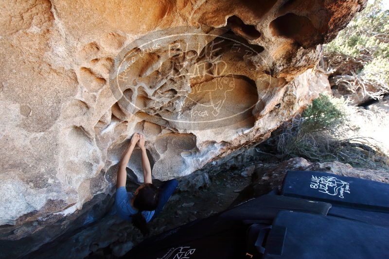 Bouldering in Hueco Tanks on 03/03/2019 with Blue Lizard Climbing and Yoga

Filename: SRM_20190303_1255470.jpg
Aperture: f/5.6
Shutter Speed: 1/250
Body: Canon EOS-1D Mark II
Lens: Canon EF 16-35mm f/2.8 L