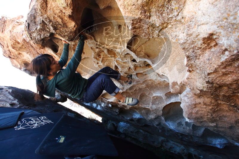 Bouldering in Hueco Tanks on 03/03/2019 with Blue Lizard Climbing and Yoga

Filename: SRM_20190303_1304550.jpg
Aperture: f/5.6
Shutter Speed: 1/200
Body: Canon EOS-1D Mark II
Lens: Canon EF 16-35mm f/2.8 L