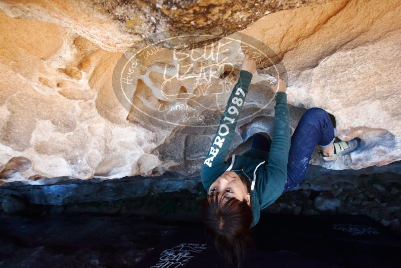 Bouldering in Hueco Tanks on 03/03/2019 with Blue Lizard Climbing and Yoga

Filename: SRM_20190303_1308080.jpg
Aperture: f/5.6
Shutter Speed: 1/160
Body: Canon EOS-1D Mark II
Lens: Canon EF 16-35mm f/2.8 L