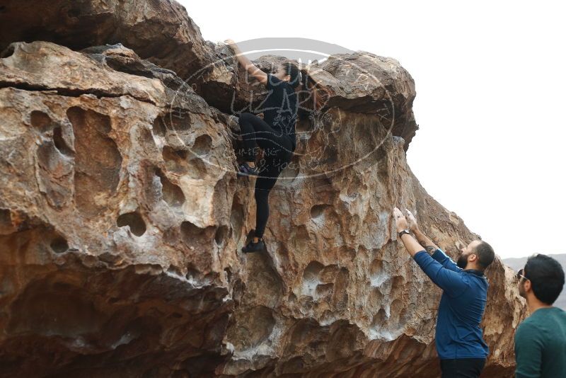 Bouldering in Hueco Tanks on 03/08/2019 with Blue Lizard Climbing and Yoga

Filename: SRM_20190308_1255090.jpg
Aperture: f/3.5
Shutter Speed: 1/400
Body: Canon EOS-1D Mark II
Lens: Canon EF 50mm f/1.8 II